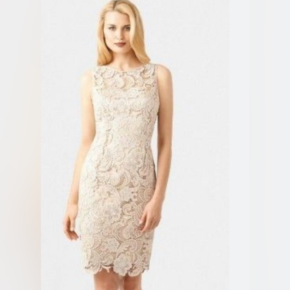 Adrianna Papell champagne lace dress